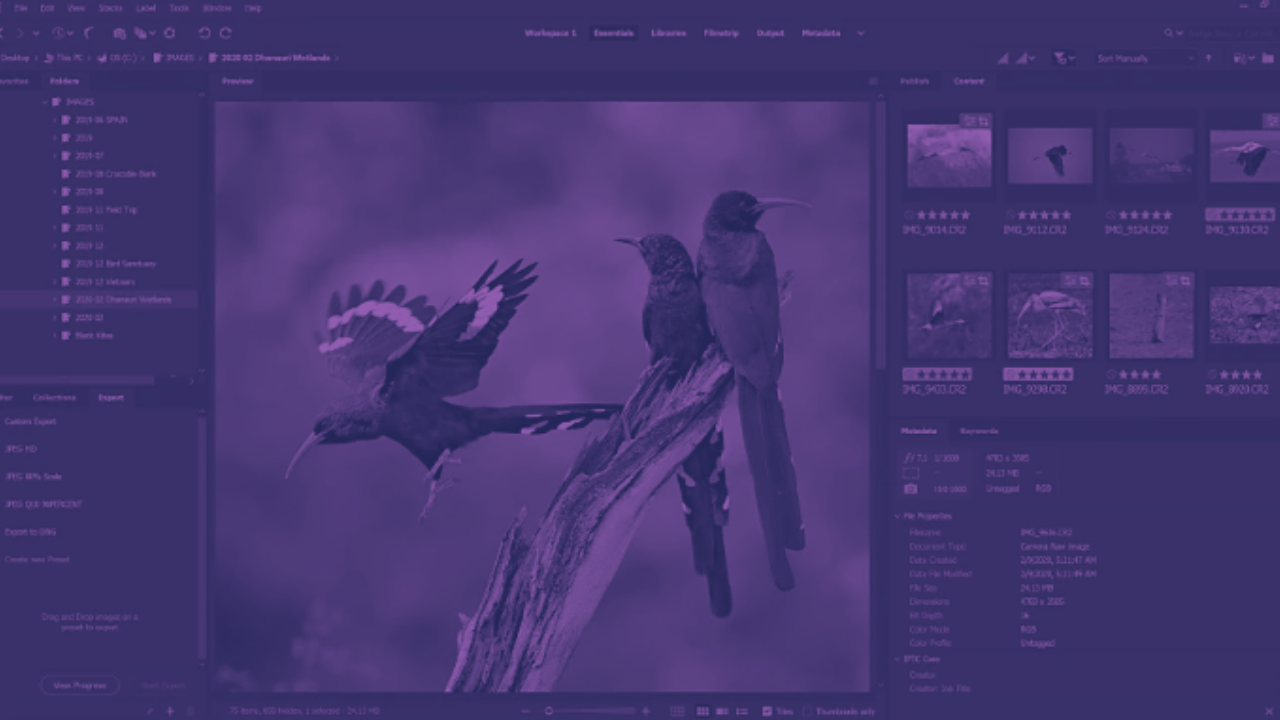 How To Bulk Resize and Optimise Images For Web Using Adobe Bridge Amanda Lucas